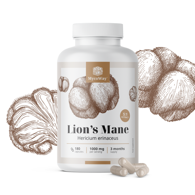 Игловиден корал (лъвска грива) 1000 мг – 5:1 екстракт