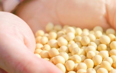 Фенилаланин Фенилаланин