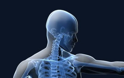 Имунна система Имунна система