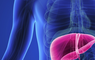 Черен дроб Черен дроб