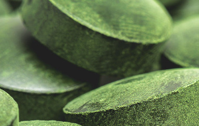 Хлорела (Chlorella) Хлорела (Chlorella)