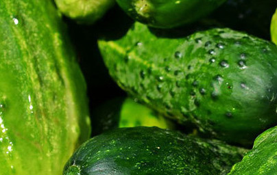 Краставици (Cucumis sativus) Краставици (Cucumis sativus)