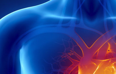 Сърце Сърце