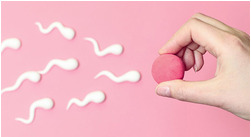 Кога съм най-фертилна?