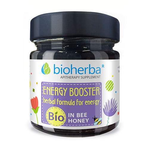 BIO комплекс с мед – Energy Booster, 280 г