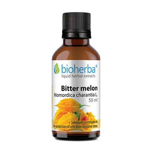 Горчив пъпеш - тинктура, 50 мл