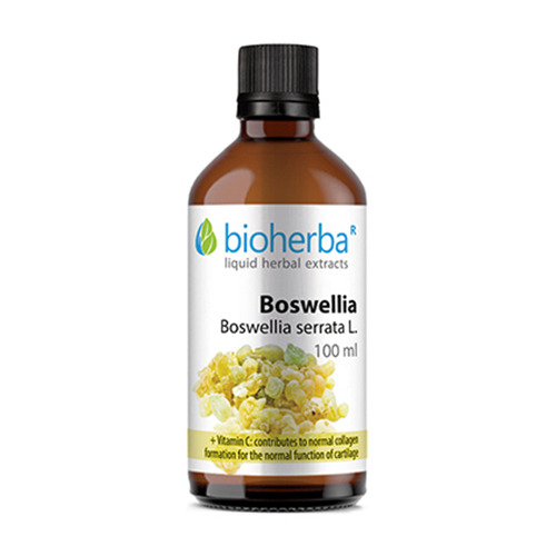 Босвелия - тинктура, 100 мл