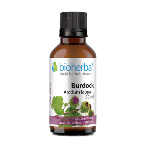 Репей - тинктура, 50 мл