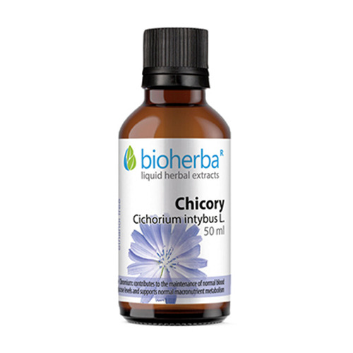 Цикория (Синя жлъчка) - тинктура, 50 мл