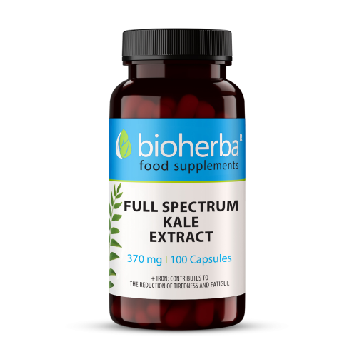 Къдраво зеле (кейл) 370 мг, 100 капсули