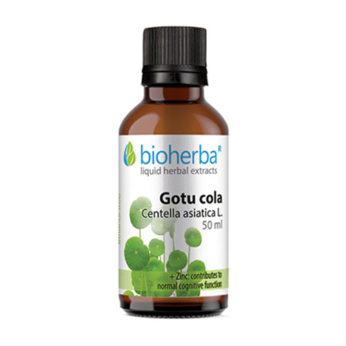 Готу кола - тинктура, 50 мл