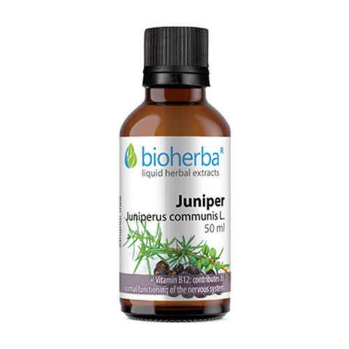 Хвойна - тинктура, 50 мл