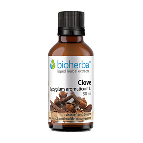 Карамфил - тинктура, 50 мл