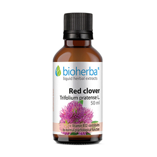 Червена детелина - тинктура, 50 мл