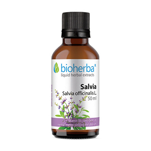 Градински чай (Салвия) - тинктура, 50 мл