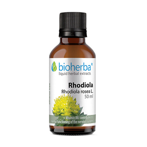 Златовръх (Rhodiola) - тинктура, 50 мл