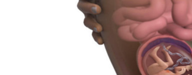 18-та седмица от бременността