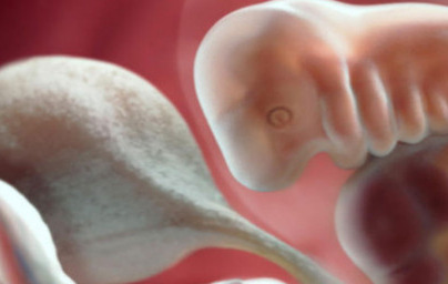 6-та седмица от бременността