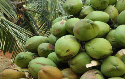 Лаурил глюкозид (Lauryl Glucoside) Лаурил глюкозид (Lauryl Glucoside)