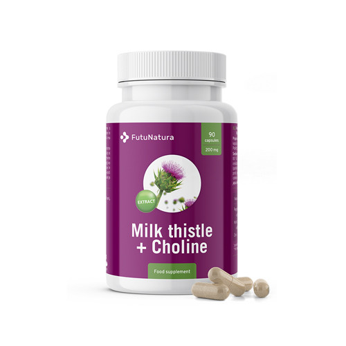 Бял трън (силимарин) + холин, 90 капсули