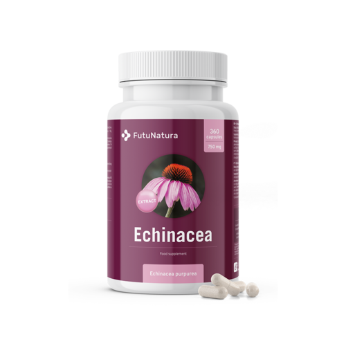 Пурпурна ехинацея - екстракт 10:1, 360 капсули