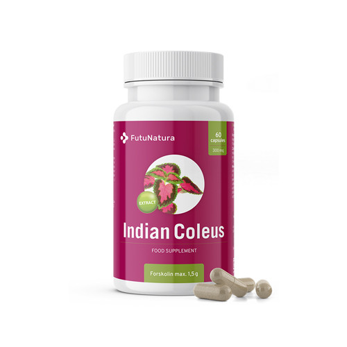 Индийска коприва - Форсколин, 60 капсули