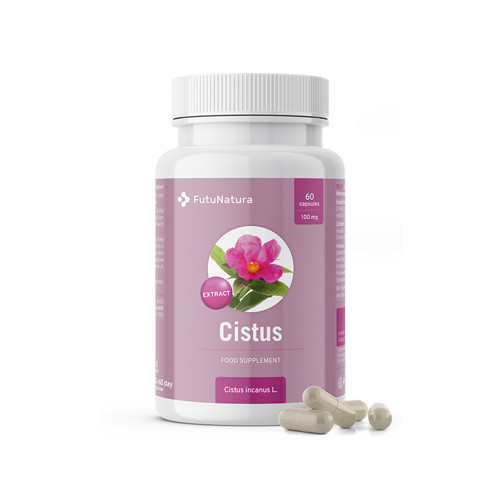 Памуклийка - екстракт, 60 капсули