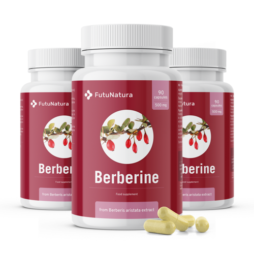 3x Берберин 500 мг, общо 270 капсули