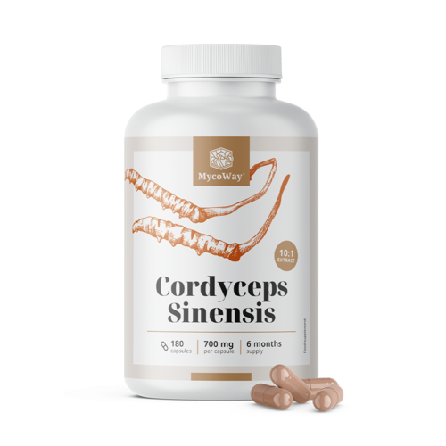 Cordyceps sinensis 1400 мг – екстракт 10:1, 180 капсули