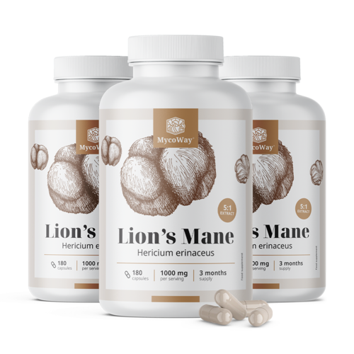 3x Игловиден корал (лъвска грива) 1000 мг – 5:1 екстракт, общо 540 капсули