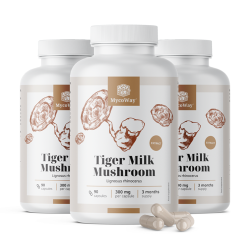 3x Tiger Milk 300 мг - екстракт от гъба Lignosus rhinocerus, общо 270 капсули