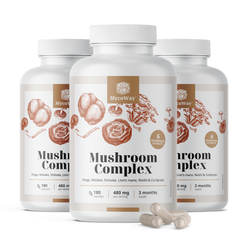 3x Комплекс от гъби, общо 540 капсули