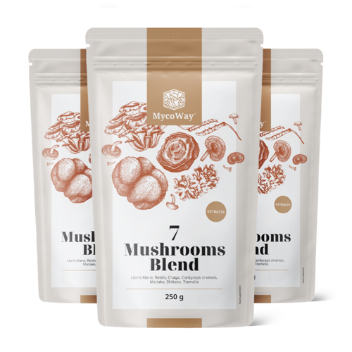 3x Смес от екстрактите на седем гъби на прах, общо 750 г
