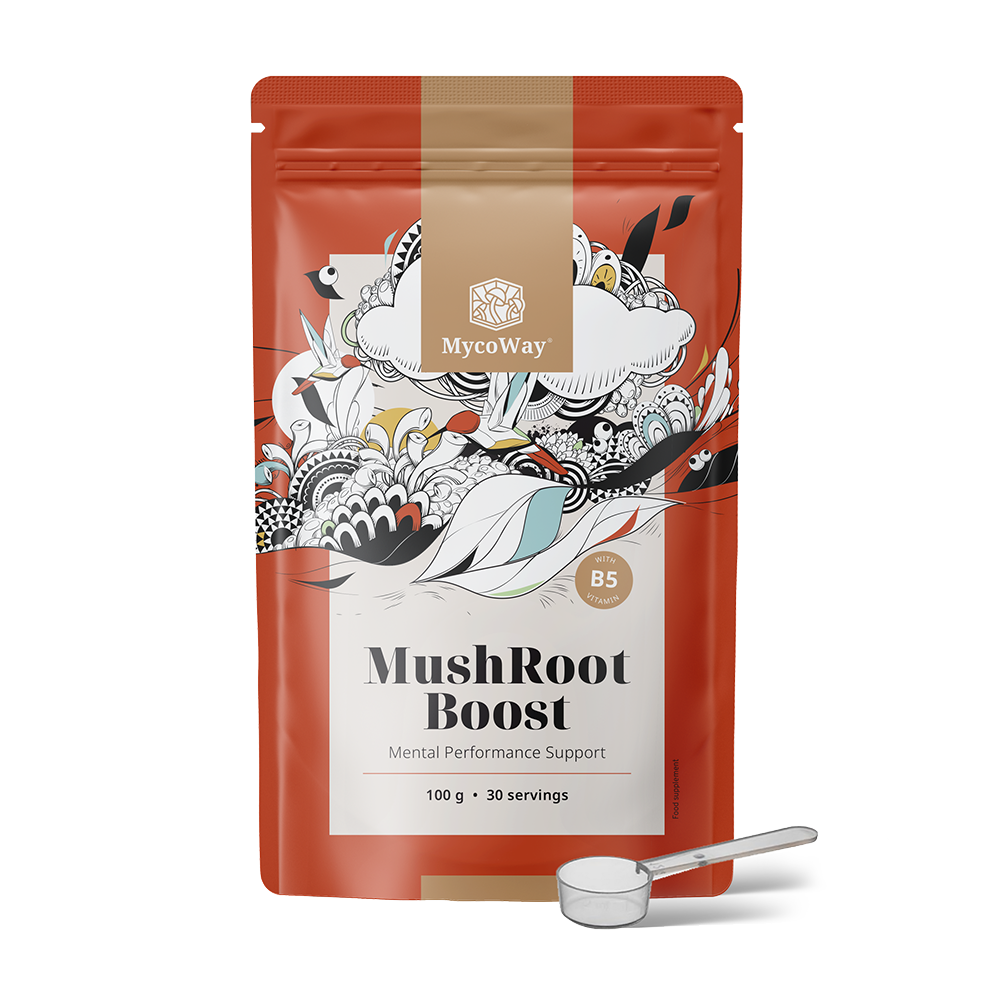 MushRoot Boost - напитка за умствена ефективност